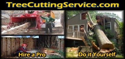tree cutting service web logo